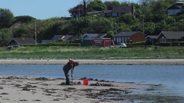 VED STRANDEN - LYSTRUP STRAND, sandorm